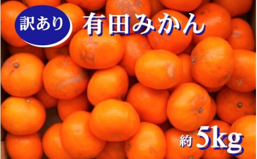 紀州有田みかん 訳あり 約5kg キズ ご家庭用 サイズ混合　※2024年12月上旬頃より順次発送予定　※北海道・沖縄・離島配送不可【sml130】