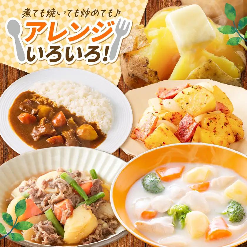 じゃがいも詰め合わせセット 3kg 10種のうち3種をお届け《9月上旬-12月末頃出荷予定》