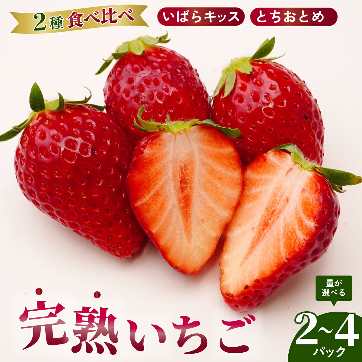 【ふるさと納税】【選べる内容量】いちごグランプリ大賞受賞 完熟いちご2パック/4パック | 苺 イチゴ いちご 完熟 とちおとめ いばらキッス 3月発送 4月発送 フルーツ 旬 産地 直送 フレッシュ 新鮮 朝採れ 採れたて 果物 贈り物 食べ比べ 萩谷いちご園 茨城県 常陸太田市