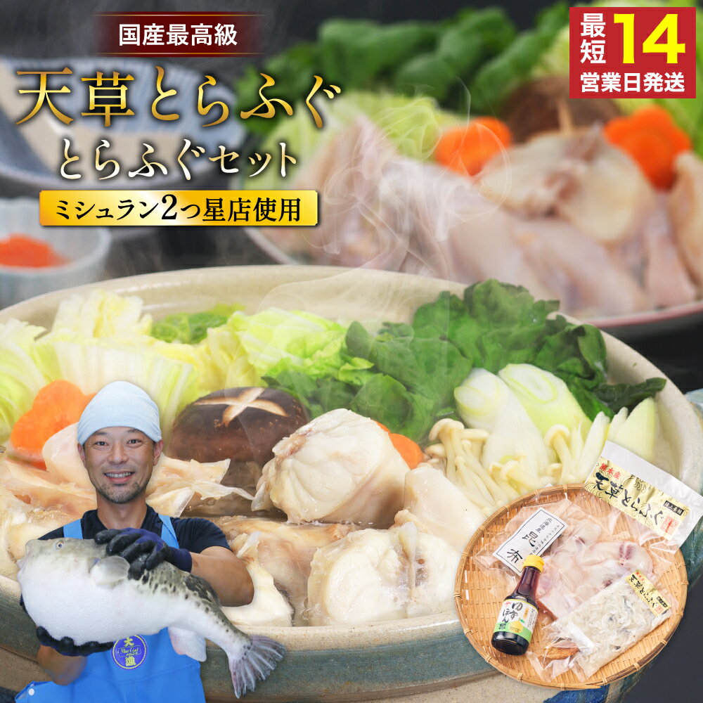【ふるさと納税】ふぐの王様 とらふぐ 国内最高級 天草とらふぐセット 合計350g ゆずポン酢・出汁用昆布付き フグ身 アラ フグ ふぐ 皮 てっちりひれ酒用 焼きひれ 海鮮 魚介類 鍋 冷凍 熊本県産 国産 送料無料