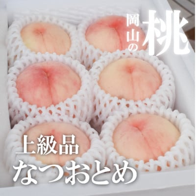 【2026年先行予約】乙女のような可愛い甘い桃「なつおとめ」上級品 5-7玉入(岡山県産)【配送不可地域：離島】【1571600】