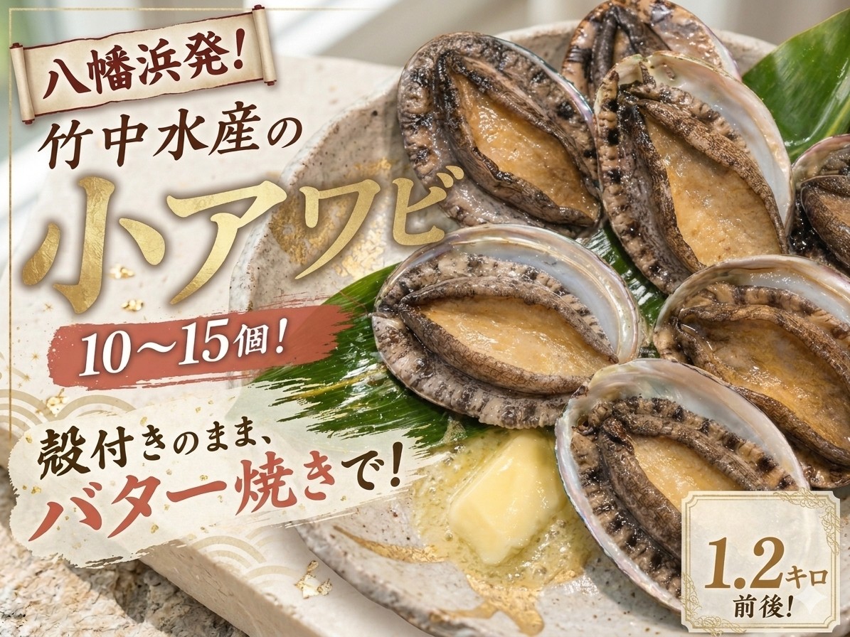 
                  竹中水産の天然小アワビ、殻付きのままでバター焼き1.2kg前後(10～15個目安)＜H22-248＞【1073905】 YWTM066
                