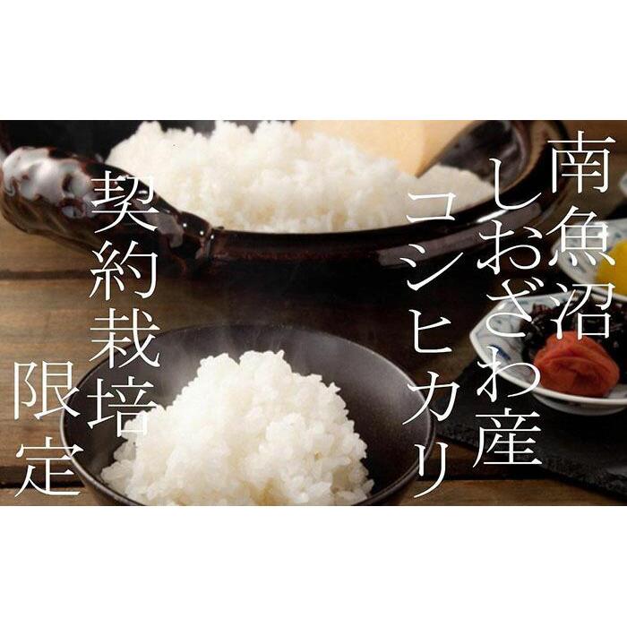 【ふるさと納税】【令和7年産】米 定期便 コシヒカリ 南魚沼しおざわ産 30kg ( 5kg × 6ヶ月 ) 契約栽培限定【2025年10月上旬より順次発送予定】 | お米 こめ 白米 コシヒカリ 食品 人気 おすすめ 送料無料 魚沼 南魚沼 南魚沼市 新潟県産 新潟県