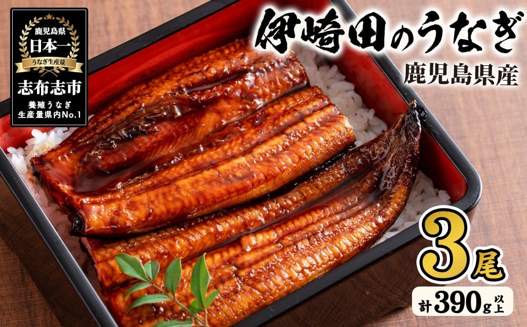
            【数量限定】鹿児島県産 伊崎田のうなぎ蒲焼 ＜130g以上＞× 3尾(計390g以上) 鰻 うなぎ ウナギ 蒲焼き 3尾 国産 九州産 鹿児島県産 冷凍 おつまみ 鰻重 うな丼 a8-077
          