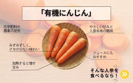人参 10kg 人参