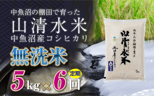 【定期便／全6回】無洗米5kg　新潟県魚沼産コシヒカリ「山清水米」十日町市 米