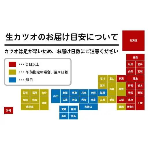 わら焼き かつおのタタキ 大 2節 【 生 カツオ 】