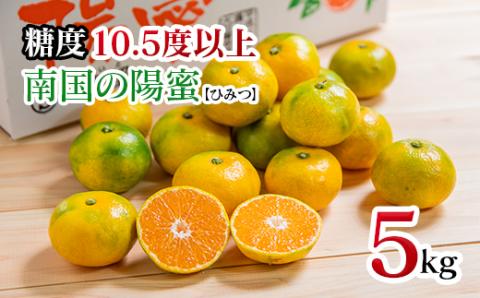 【糖度10.5度以上】 みかん『南国の陽蜜』5kg 　宮崎県西都市産【先行予約】＜1-220＞