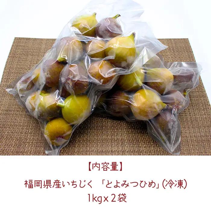 【福岡県産】冷凍とよみつひめ（イチジク) 2kg（1kg×2） 2J8-S1