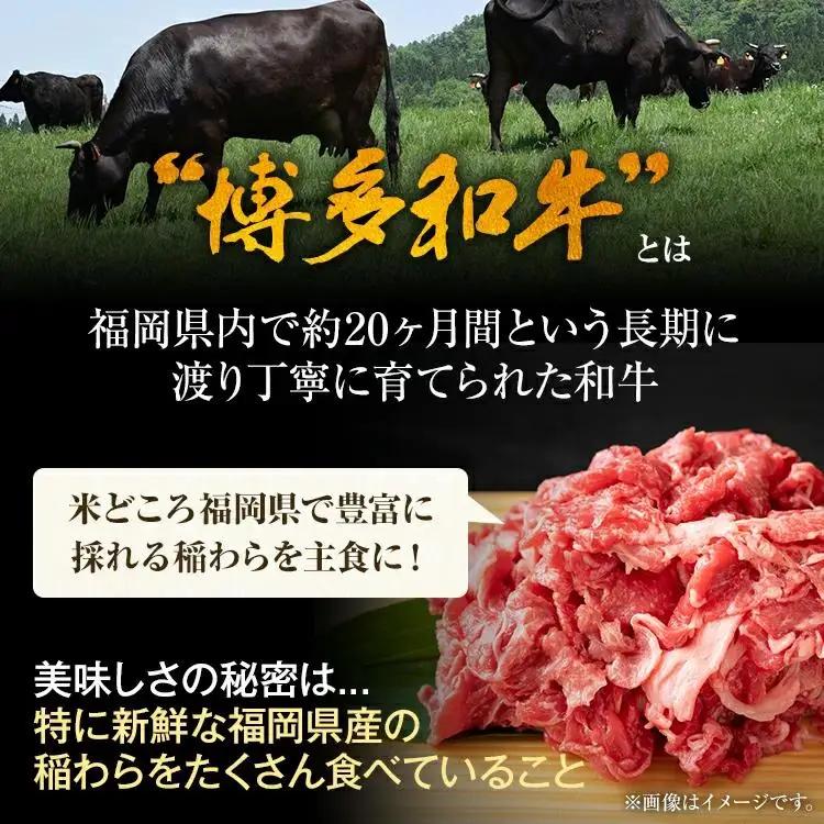 牛肉 切り落とし 牛肉 博多和牛 1kg 訳あり CP016