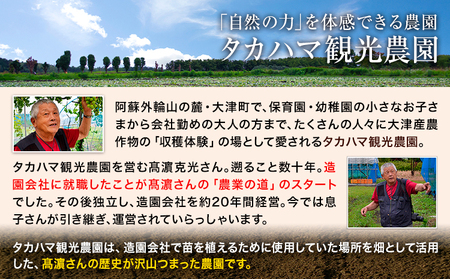 タカハマ観光農園 の あまはづき 3kg タカハマ観光農園《9月下旬-12月末頃出荷》熊本県 大津町 さつまいも 芋 いも イモ あまはづき アマハヅキ 送料無料