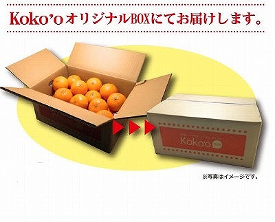 【3月中旬から発送】 きよみ＜家庭用・優品＞約5kg