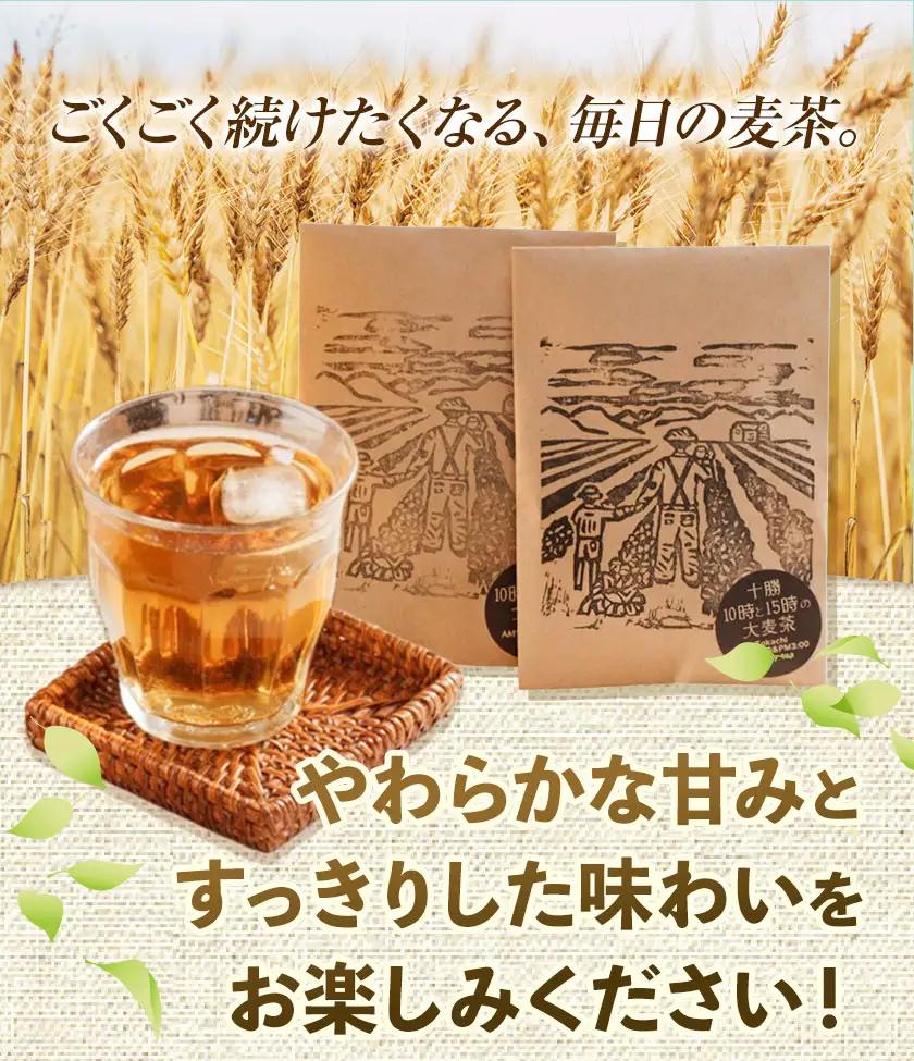 【12ヶ月定期便】二条大麦100％「十勝10時と15時の大麦茶」7包×7袋 北海道 茶