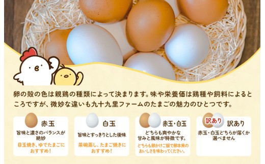 《訳あり》九十九里ファームこだわりたまご 30個～あおい海・みどりの里～（赤玉or白玉） ／ たまご 卵 玉子 タマゴ 30個 卵かけご飯 新鮮 旨み 甘み 贈答用 贈答 ギフト 贈り物 訳あり 訳ア