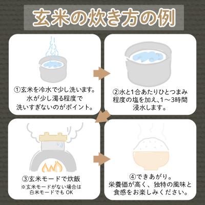 ふるさと納税 小松島市 【2025年9月順次発送】 栽培期間中農薬不使用 コシヒカリ 玄米 1.5kg 米 化学肥料不使用 |  | 02