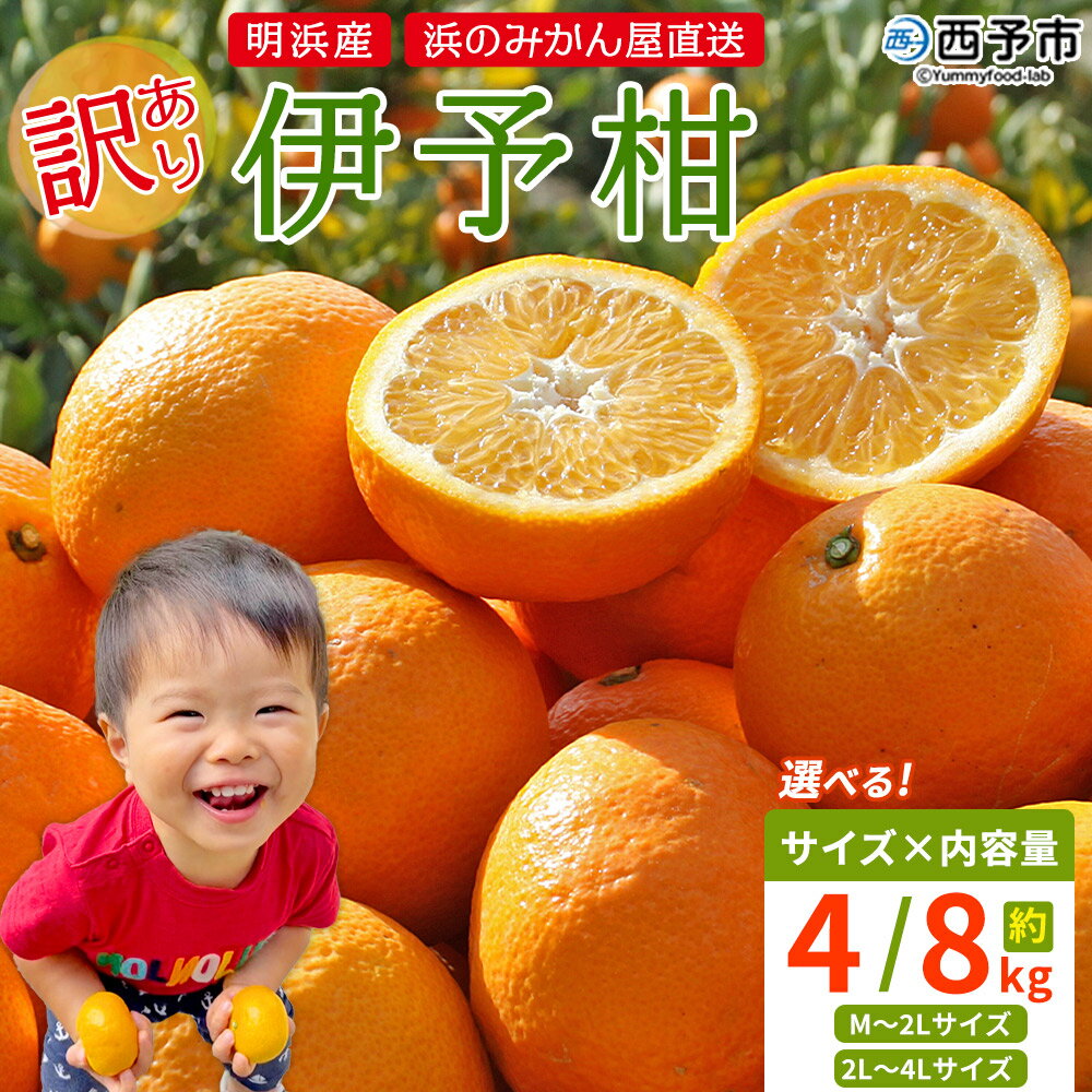 【ふるさと納税】＜訳あり 伊予柑 約4kg / 8kg 浜のみかん屋 直送＞ 選べる サイズ 小 中 大玉 M～4L ワケアリ イヨカン いよかん 家庭用 果物 フルーツ おいしい 甘い 柑橘類 明浜産 ご自宅用 特産品 愛媛県 西予市【常温】『2026年1月中旬～3月上旬迄に順次出荷予定』