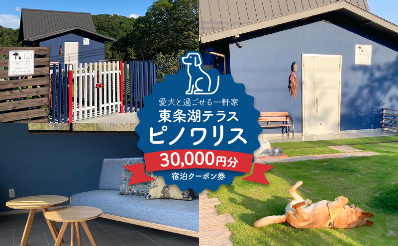 東条湖テラス ピノワリス 宿泊クーポン券 3万円分 愛犬と過ごせる一軒家　宿泊 旅行 クーポン ドッグラン 愛犬 犬 東条湖 加東市