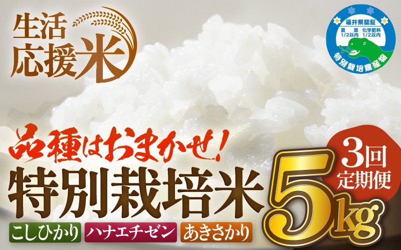 
                  【生活応援米】定期便 ≪3ヶ月連続お届け≫令和7年産 特別栽培米5kg × 3回（合計15kg）福井県越前町産【選べる精米方法：白米/玄米】【お米 コメ kome 5キロ  白米 玄米 家庭用 農薬5割減】 [e81-c001]
                