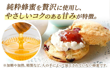 【12回定期便】リッチハニースコーン アソート 10個 多治見市/famfam スイーツ 洋菓子 焼菓子 スコーン デザート [TAK013]