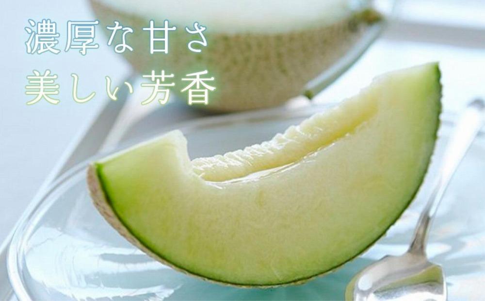 静岡アローマメロン　山級1.4Kg前後　2個セット 222232_CN022