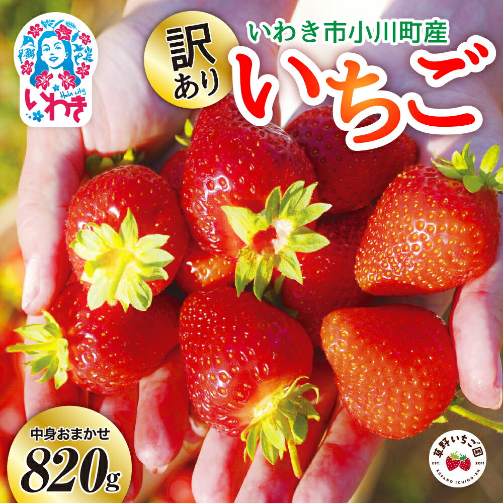 【ふるさと納税】〈 先行予約 〉2026年 訳あり 産地直送 いわき市産 いちご 草野いちご園 の いちごの詰め合わせ 820g（205g×4P）（中身はお任せ）ふくはる香 ゆうやけベリー よつぼし ベリーホップすず ｜ BB032 イチゴ 苺 令和8年度発送 果物 フルーツ デザート 食べ比べ