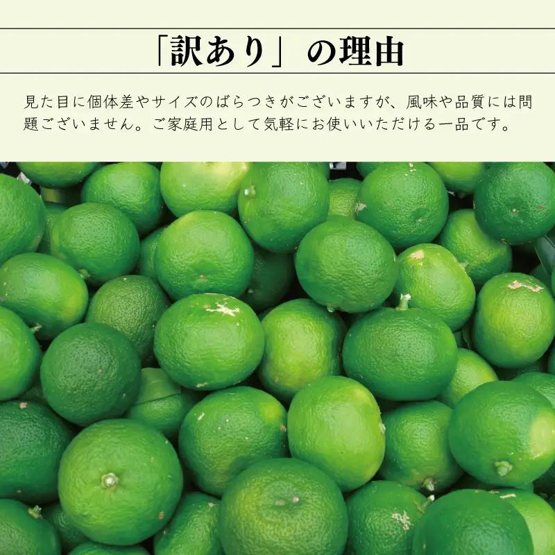 訳あり すだち 2kg サイズ不揃い 家庭用