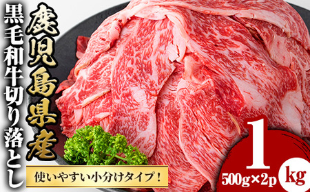 鹿児島県産 黒毛和牛 切落し 計1kg 【さつま屋産業】 牛肉 切り落とし y427