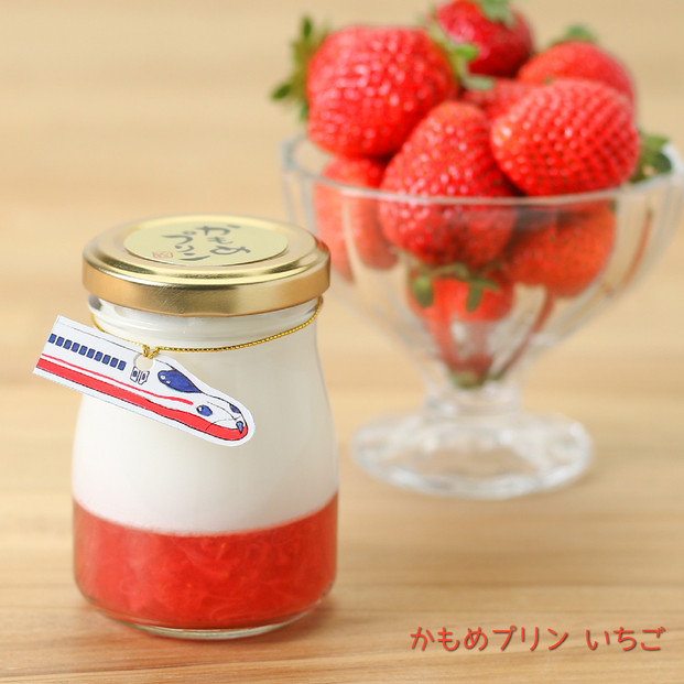かもめプリン5種10個セット