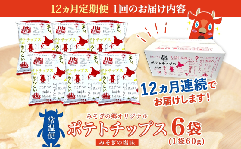 定期便 全12 回北海道 オリジナル ポテトチップス 60g 6袋 塩味 道の駅 オリジナル パッケージ ポテチ しお じゃがいも ジャガイモ お菓子 スナック おやつ おつまみ あっさり ポテトチッ
