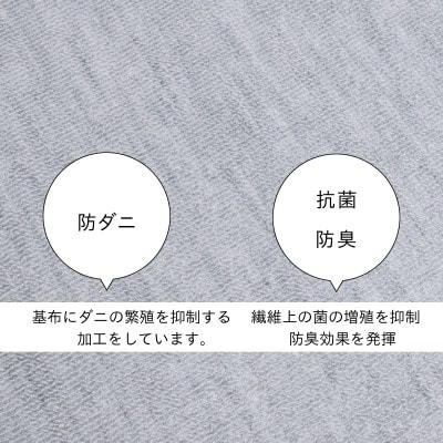 防ダニ カーペット 3畳 日本製 抗菌防臭 ノースポール 江戸間 176×261cm グレー【1639003】