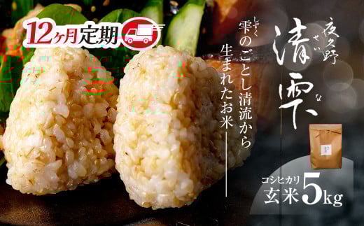 ＜令和7年9月末より発送予定！＞【12ヶ月定期便】京都夜久野産　清雫（せいな）　コシヒカリ＜玄米5kg×12回＞/  令和7年度産 先行 定期 5kg 収穫 12回 玄米  夜久野 京都 京都府 福知山 FCDB020
