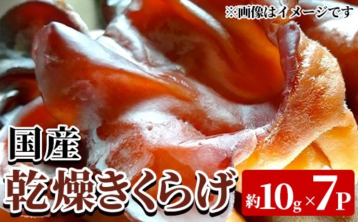 
                  国産乾燥きくらげ(約10g×7P・計約70g) 国産 阿久根市産 きくらげ 木耳 キクラゲ 乾燥きくらげ 食物繊維 ビタミンD 【竹ん子山】akn097-19
                