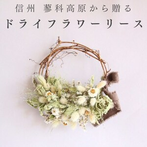 信州八ヶ岳の麓から贈るドライフラワーリース Sハーフ(グリーン)【1659526】