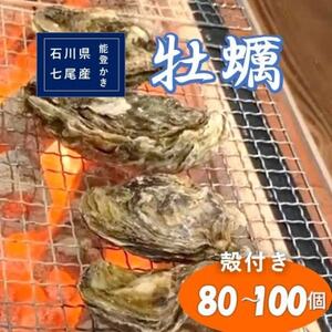 石川県七尾産 能登かき　殻付き　1斗缶(80～100個)　加熱調理用【配送不可地域：離島・北海道・沖縄県・東北・中国・四国・九州】【1170377】