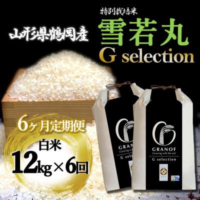 ふるさと納税 鶴岡市 【毎月定期便】山形県産 雪若丸 Gセレクション 白米 12kg全6回