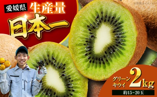 キウイ【先行予約】【11月中旬より順次配送】 グリーンキウイ 2kg キウイフルーツ キウイ フルーツ kiwi fruit ヘイワード 果物 くだもの 愛媛県大洲市/玉川農園 [AGBC018]