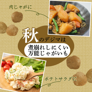《先行予約》 じゃがいも 秀品 春デジマ じゃがいも 安田町 大野台地 5㎏ YK-0010