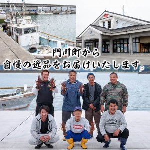 ＜数量限定＞天然！門川町産活き伊勢海老(計1kg・約2～3尾)エビ えび 刺身 魚介 海鮮 朝獲れ 国産【O-4】【門川漁業協同組合】