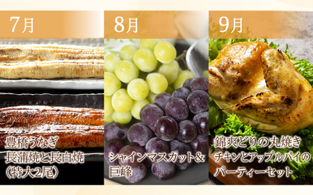 豊橋 どうまい 定期便 プレミアム 全12回定期便 鴨  / せとか / いちご / スイーツ定期便 / スイカ  / うなぎ / シャインマスカット /フルーツ定期便/ 惣菜定期便/ ちくわ / 牛