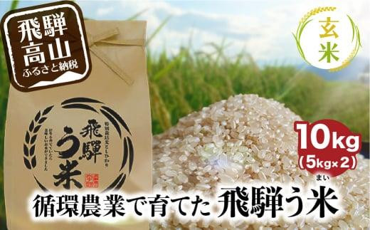 【数量限定】【先行予約】令和8年産 飛騨う米 玄米 10kg | 有機肥料 100％ 米 お米 受賞米 米コン3年連続特別優秀賞受賞米 飛騨高山 株式会社拳 GW004