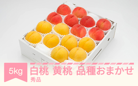 先行予約 白桃＆有袋黄桃 秀品 品種おまかせ 化粧箱入り 約5kg 令和八年産 2026年産 山形県産 果物 フルーツ 桃 送料無料 ns-mohot5