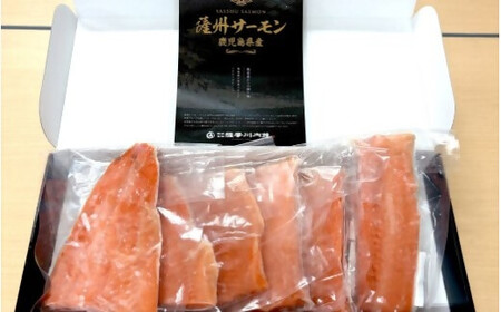 薩州サーモン 500g 鹿児島 国産 養殖 サーモン  AS-2228