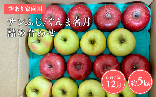 ≪令和7年産先行受付≫家庭用 サンふじ/ぐんま名月 詰め合わせ約5㎏【青森県 平川市 山内ファーム】青森りんご りんご リンゴ 林檎 ふじ サンフジ 群馬名月 お取り寄せ 先行予約 果物 くだもの フルーツ 