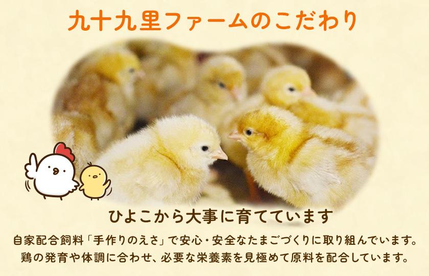 九十九里ファームこだわりたまご贈答用30個～あおい海・みどりの里～《赤玉》 ／ たまご 卵 玉子 タマゴ 生卵 卵かけご飯 鶏卵 30個 赤玉　30個×1回