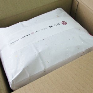 【新米先行予約 11月以降順次発送予定】《定期便 6か月》10kg（5kg×2袋）×6ヶ月 鳥海山の恵み 農家直送！ あきたこまち【令和8年度産 白米 精米 秋田 にかほ】