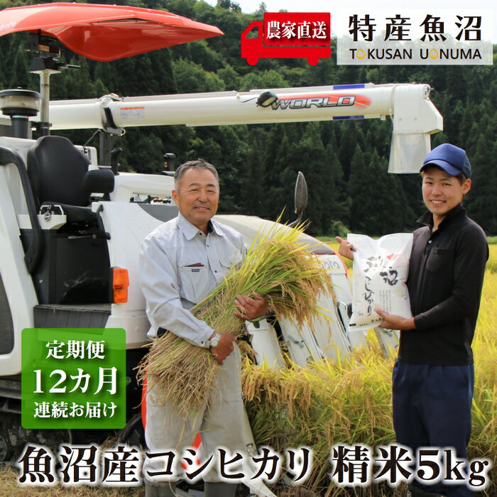 【ふるさと納税】米 定期便 12ヶ月 コシヒカリ 5kg 精米 白米 お米 魚沼産コシヒカリ 新潟米 新潟 魚沼市 定期 12回　お届け：寄附入金月の翌月から発送