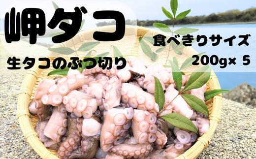 
            修福丸　岬たこ　生たこぶつ切り食べきりサイズ（200g×5袋）
          