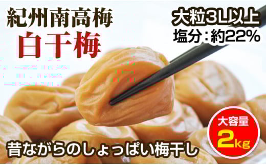 昔ながらのしょっぱい梅干し(白干し梅)2kg 大粒3L以上 紀州南高梅 和歌山県産 すっぱい梅干 うめぼし 梅 2キロ ふるさと納税 梅干し