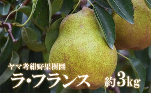 No.2232ヤマ孝紺野果樹園 ラフランス約3kg【2025年発送】