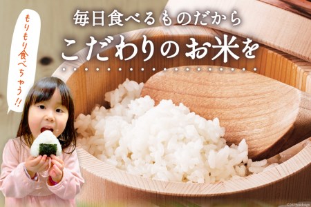 米 宮城県産 ひとめぼれ 5kg / 気仙沼米穀商業協同組合 / 宮城県 気仙沼市 [20562100] 一等米 白米 精米 ご飯 ごはん コメ こめ 小分け 家庭用